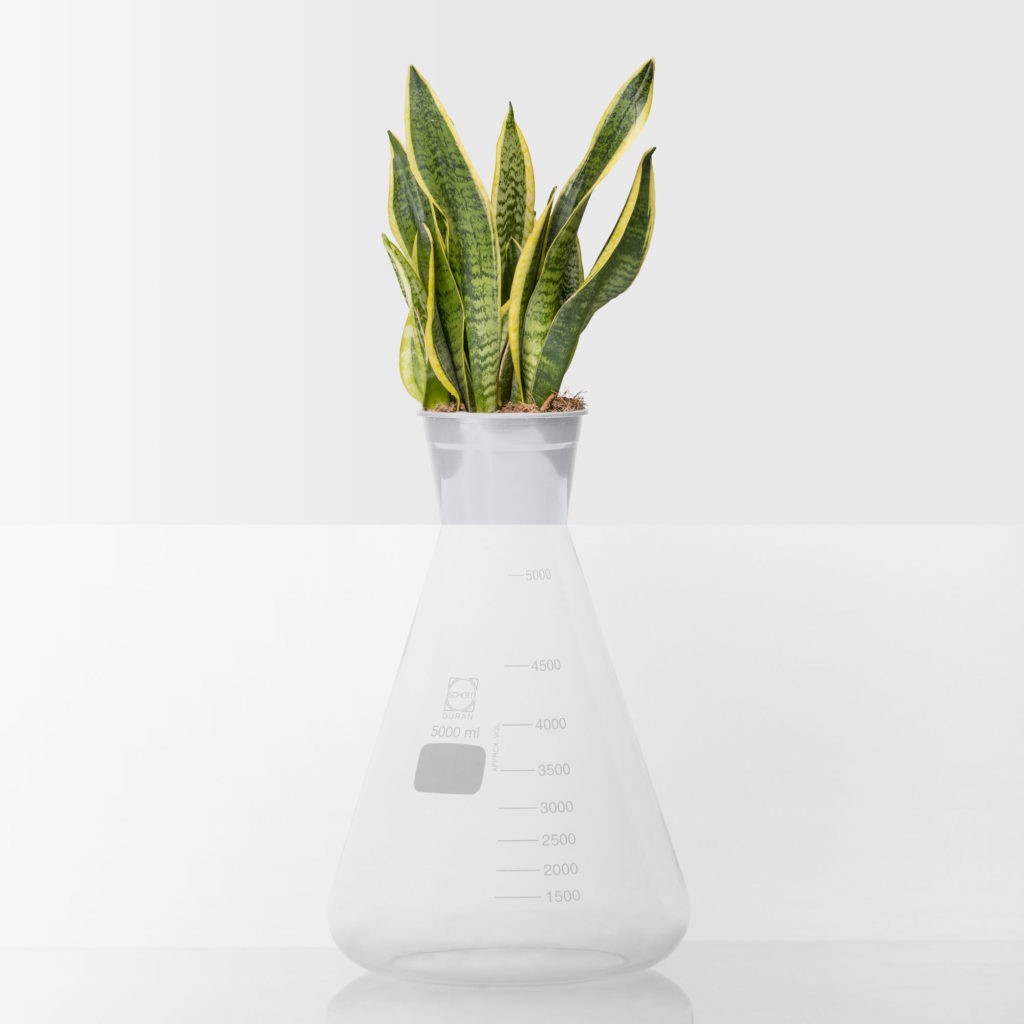 News 19 News svg+xml;charset=utf