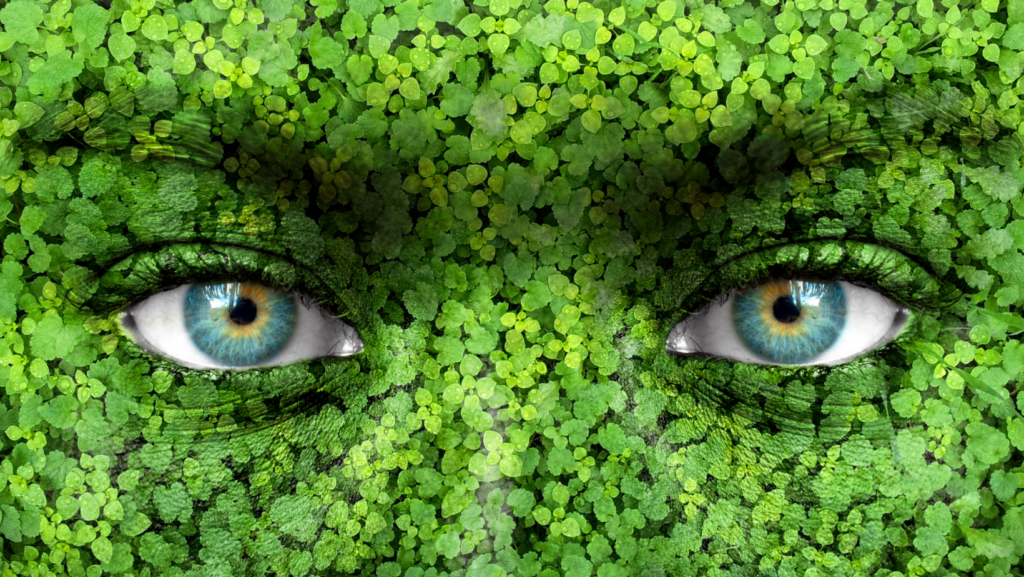 News 9 News svg+xml;charset=utf