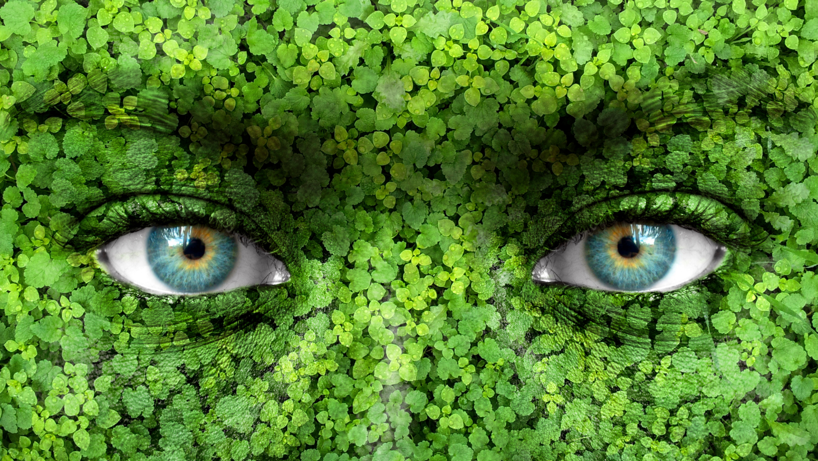 Ambiente & Ricerca: Progetto “Posidonia”